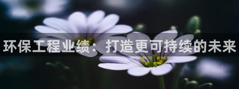 彩名堂计划怎么跟,为什么我一跟就挂：