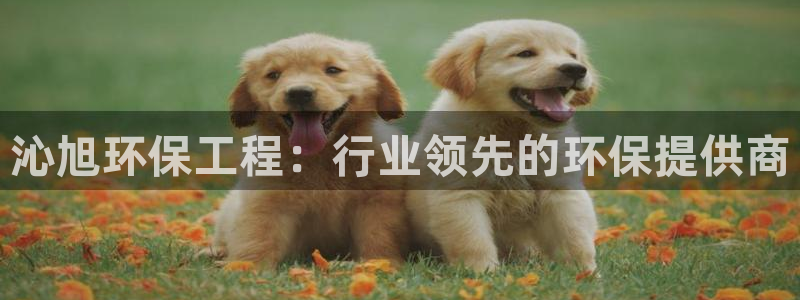 彩名堂app官方网：沁旭环保工程：行