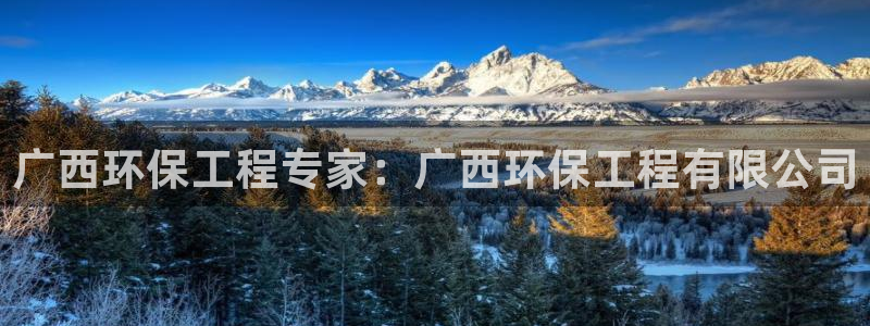 彩名堂为什么用不了了：广西环保工程专