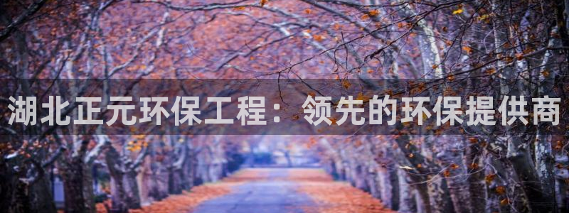 彩名堂官网客户端：湖北正元环保工程：