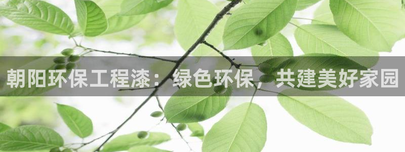 彩名堂计划app安卓免费下载：朝阳环