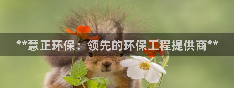 彩名堂手机客户端：**慧正环保：领先