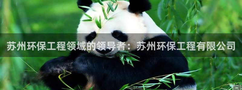 彩名堂预测软件与分析：苏州环保工程领