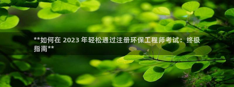 彩名堂.netnet：**如何在 2