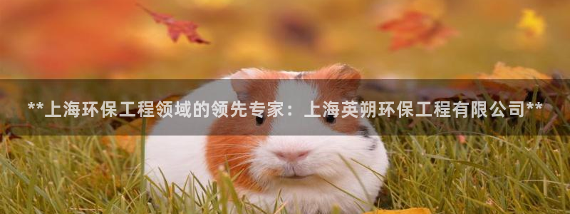 彩名堂首页：**上海环保工程领域的领