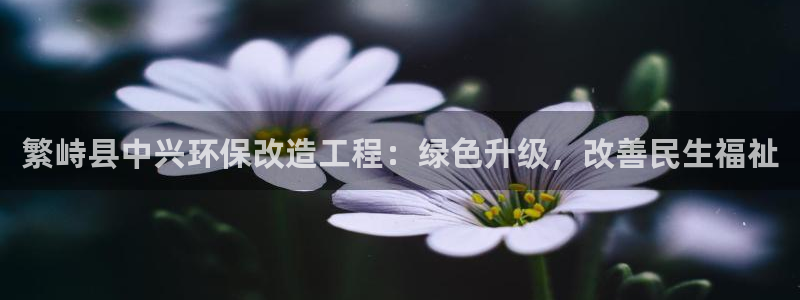 彩名堂人工计划客户端：繁峙县中兴环保