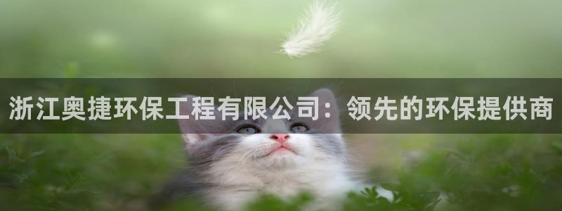 彩名堂移动客户端怎么下载：浙江奥捷环