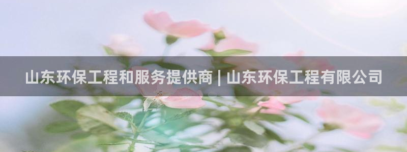 彩名堂5.0!：山东环保工程和服务提