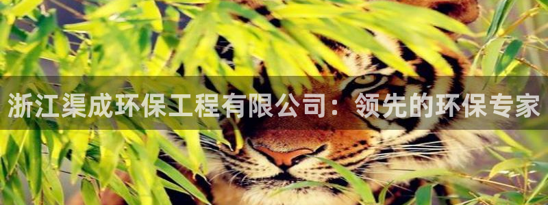 彩名堂全天计划：浙江渠成环保工程有限