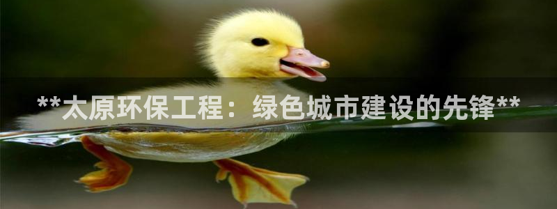 彩名堂预测：**太原环保工程：绿色城