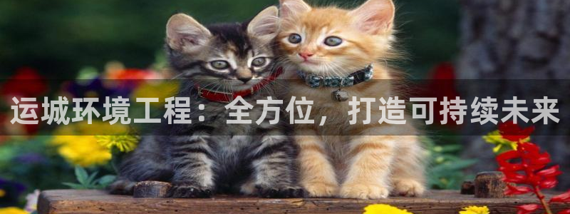 彩名堂平台：运城环境工程：全方位，打