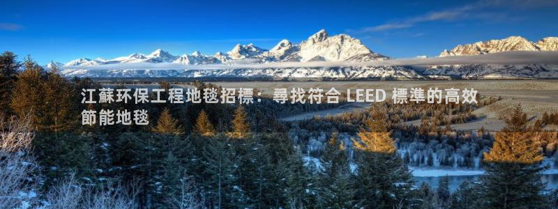 彩名堂怎么买准确率高一点：江蘇环保工程地毯招標：尋找符合 L