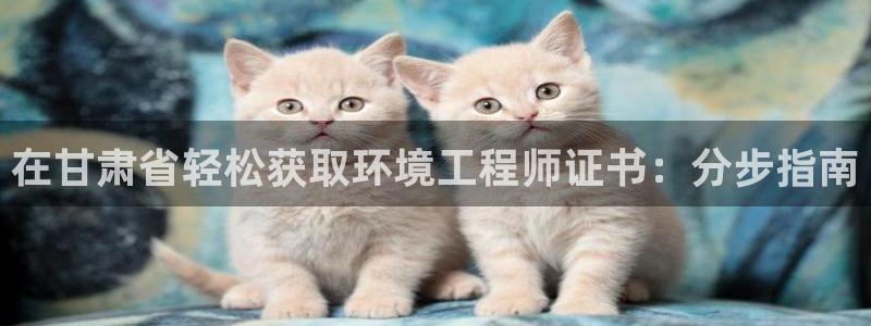 彩名堂v1.0.6：在甘肃省轻松获取环境工程师证书：分步指南