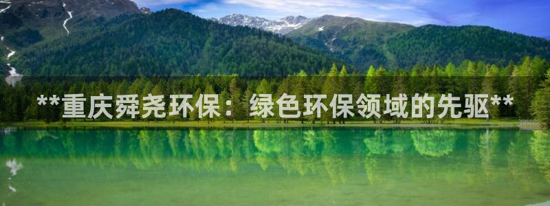 彩名堂为什么打不开：**重庆舜尧环保：绿色环保领域的先驱**