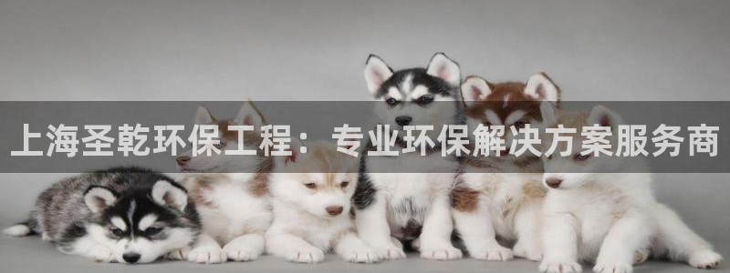 彩名堂客户端是永久免费吗是真的吗知乎：上海圣乾环保工程：专业