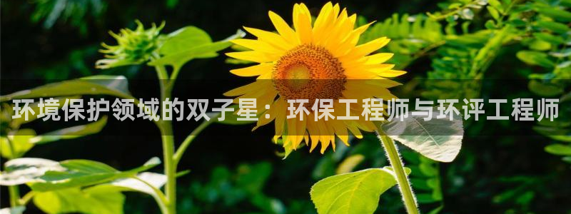 彩名堂客户端是永久免费吗安全吗苹果：环境保护领域的双子星：环