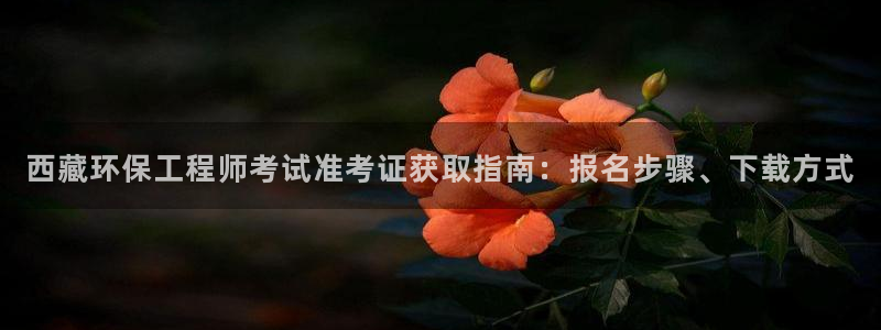 彩名堂改名稻草人了吗是真的吗：西藏环