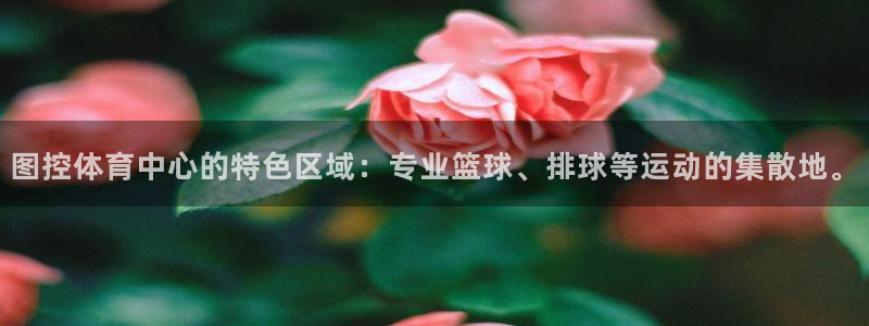 bbin视讯