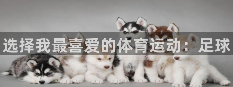 bbin视讯游戏官网