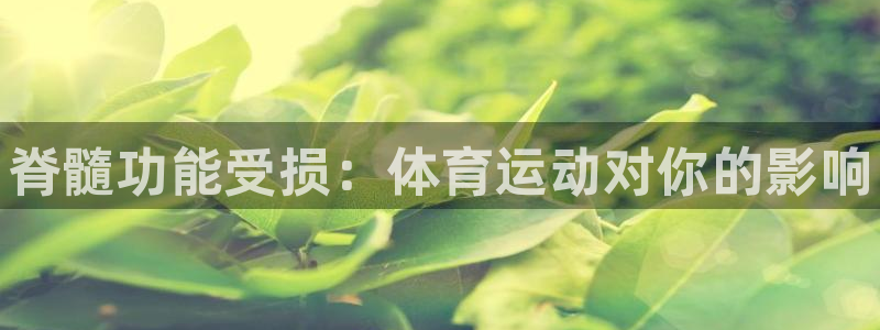 bbin视讯