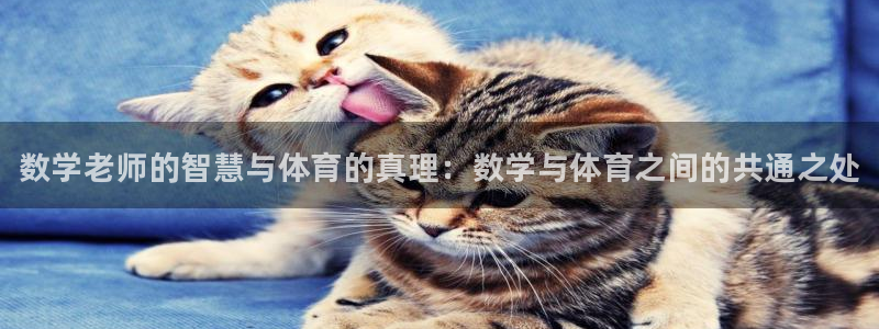 bbin视讯游戏平台