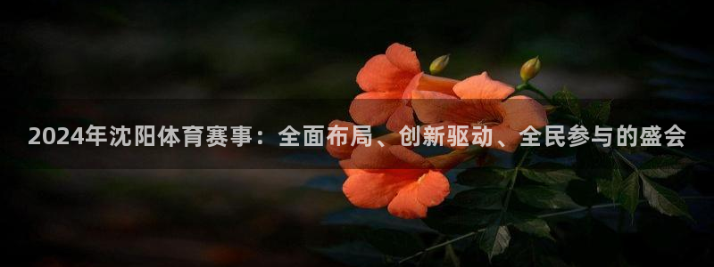 bbin视讯下