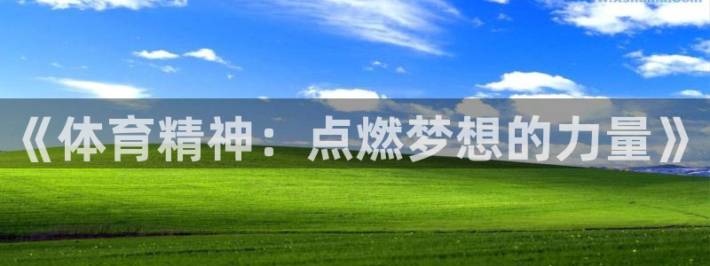 bbin视讯下