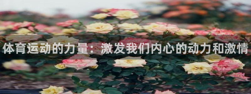 bbin视讯
