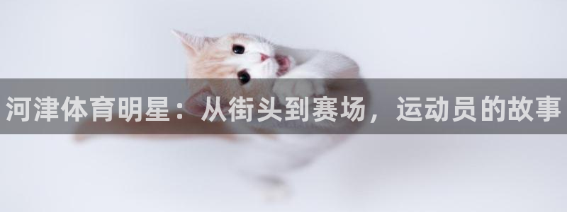 bbin视讯下