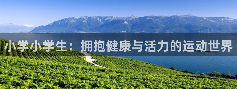 bbin视讯游戏官网