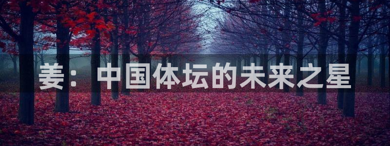 bbin视讯