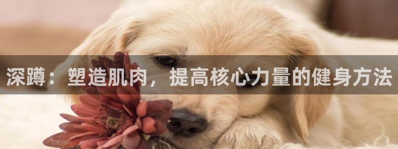 bbin视讯游戏平台