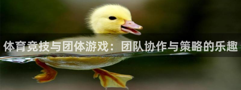 bbin视讯下