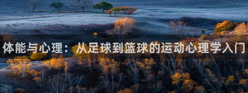 bbin视讯下