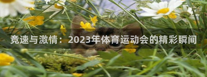bbin视讯游戏平台